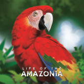 Life Of The Amazonia - Board Game